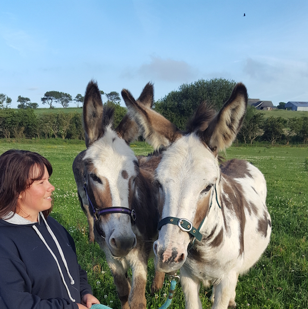 donkeys seaton carew