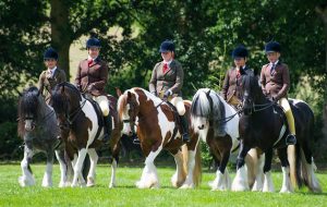 The Team Colosso Skewbald & Piebald Horse and Pony Classes on the first day of the show had cameras snapping