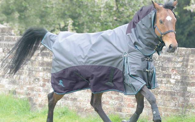 Fieldmasta-Fixed-Neck-100g-Turnout-Rug