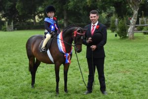 Bay mini show pony mare Seamoor Lady Derby stands for a photo having won the RIHS mini championship judged in 2025 by Sharron Kivlochlan