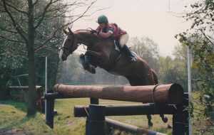 Toytown Zara Tindall die
