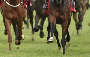Great Yarmouth wrong horse