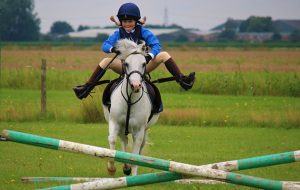 Sometimes those cross-poles can feel like the Hickstead Derby course…