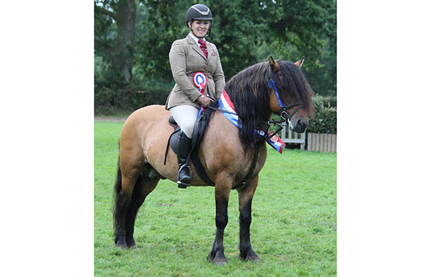 NPS NAF M&M working hunter pony champions Amy Smith & Aigas Of Achnacarry IMG_2277