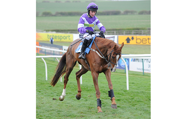 BAR7TF Horse leaving paddock at Sedgefield Races UK. Image shot 03/2009. Exact date unknown.