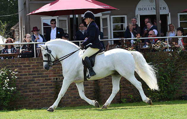 Banks Timber Sandra Burton