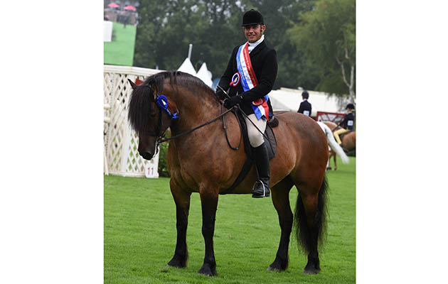 24 CATRIONA OF MEGGERNIE MR S DIXON