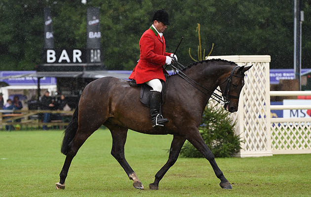 CHANTILLY BOJANGLES exhibited by ROB WALKER winner of the THE DAVID STENNETT LTD SMALL HUNTER during The Longines Royal International Horse Show (CSIO 5*) held at The All England Jumping Course at Hickstead in West Sussex in the UK between 25 - 30th July 2017