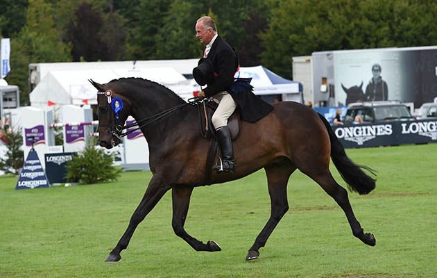 DIAMONDS ARE FOREVER exhibited by ALLISTER HOOD winner of the THE SARACEN HORSE FEEDS SUPREME RIDING HORSE CHAMP during The Longines Royal International Horse Show (CSIO 5*) held at The All England Jumping Course at Hickstead in West Sussex in the UK between 25 - 30th July 2017