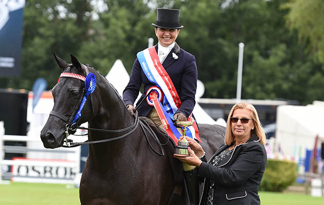 ELUSIVE exhibited by JO BATES winner of the THE BRERETON SUPREME HACK during The Longines Royal International Horse Show (CSIO 5*) held at The All England Jumping Course at Hickstead in West Sussex in the UK between 25 - 30th July 2017