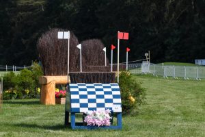 European Eventing Championships cross-country course