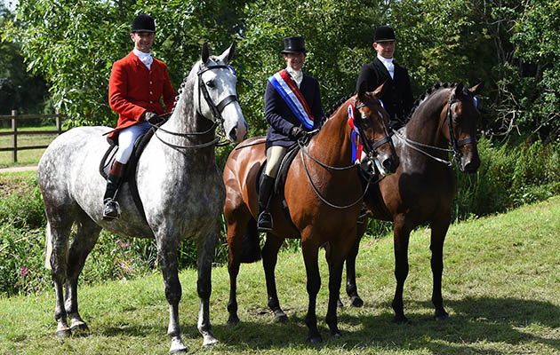 Jayne Ross and her winning hunters