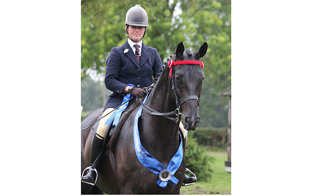 BSPS supreme ridden anglo and part-bred Arab champions Jill Wormall & Jazz It Up IMG_2397