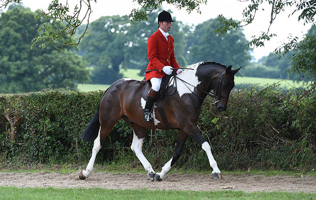 KELLYTHORPES MASTER KEY, exhibited by Oliver Hood winner of the Team Colosso Supreme Skewbald & Piebald Indian Trail Ridden Pony Championship during The Longines Royal International Horse Show (CSIO 5*) held at The All England Jumping Course at Hickstead in West Sussex in the UK between 25 - 30th July 2017