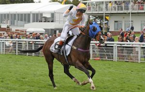 Dido Harding Magnolia Cup 2017 winner