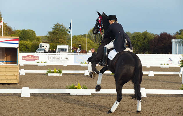 Nicky Patrick clings on to an excitable Uglesias during the prize presentation for the Intermediare 1 Freestyle - Dressage Horse International Intermediare 1 Freestyle - Dressage Deluxe National Dressage Championships, Stoneleigh, Warwickshire, United Kingdom - 17 September 2011