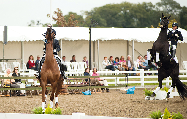 Eveyone's up in the air during the presentation for the Dobson&Horrell Novice Open Championship - Dressage Deluxe National Dressage Championships, Stoneleigh, Warwickshire, United Kingdom - 16 September 2011