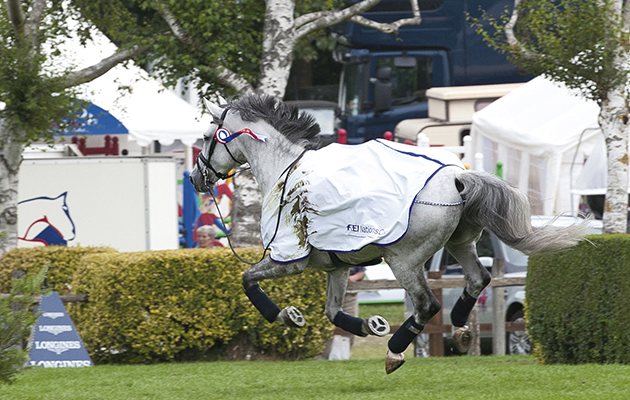 Janne-Friederike Meyer's horse runs loos›e after falling during the lap of honour after winning the FEI Nations Cup of Great Britain