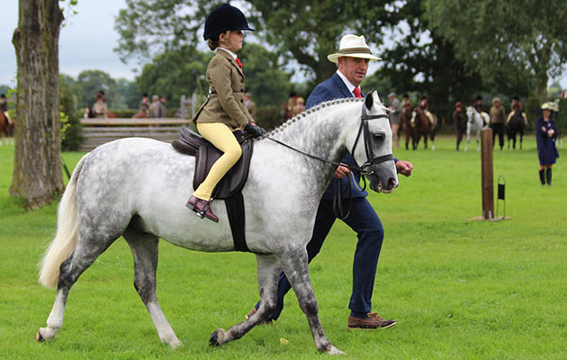 lead-rein of show hunter type final Georgie Grace & Priestwood Roc Star, handler John Harvey IMG_1709