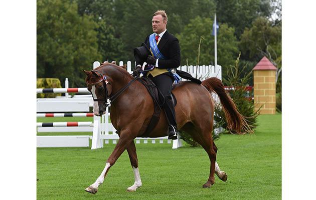 1125 	SAMEON MAROUHK 	BEN PAYNE