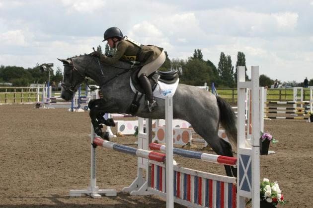 Competition ponies for sale