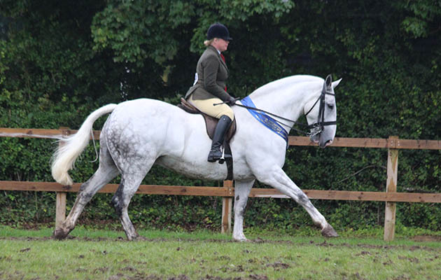 maxi cob champion Petra Frampton & The Forger IMG_2384