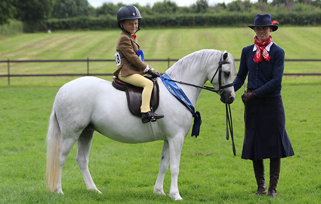 BSPS Heritage mini M&M champions George Levett & Thistledown Velvet Touch, handler Jo Burchell  IMG_1874