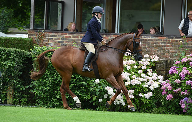 31 	WOLFERLOW ESPERANTO 	JOSEPHINE READY