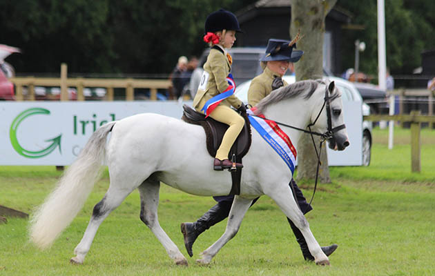Pretty Polly Heritage M&M champions Wydean Sinatra & Amelia Watson (leader mum Paulette Watson) IMG_2322
