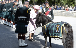 shetland queen balmoral