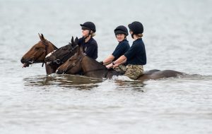 kings troop norfolk