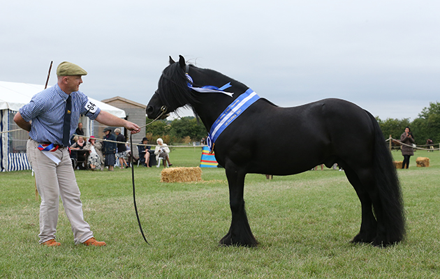 CUDDY SUPREME CHAMPION. 644 BRACKLINN JACKPOT H: ALISTAR SMITH