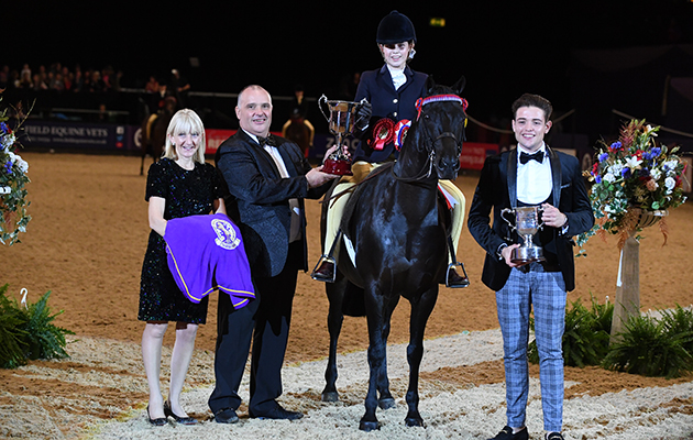 ARCHWOOD ROMEO GIGLE owned by  Leah Dalley ridden or exhibited by Madison Dalley in the Children's Riding Pony of The Year Championship during the Horse of the Year Show at the NEC near Birmingham, UK between 4th - 8th October 2017