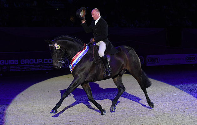 DIAMONDS ARE FOREVER III owned by  A Jenks ridden or exhibited by Allister Hood in the Riding Horse of The Year Championship during The Horse of the Year Show at the NEC near Birmingham, UK between 4th - 8th October 2017