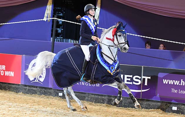 JUMPER owned by Julie Jordan ridden or exhibited by Tahnia Jordan-jones in the Pony Newcomers Championship during the Horse of the Year Show at the NEC near Birmingham, UK between 4th - 8th October 2017