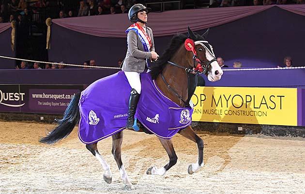 CASINO ROYALE V111 owned by Anne Greig ridden or exhibited by Shaunie Greig in Leading Pony Showjumper during the Horse of the Year Show at the NEC near Birmingham, UK between 4th - 8th October 2017