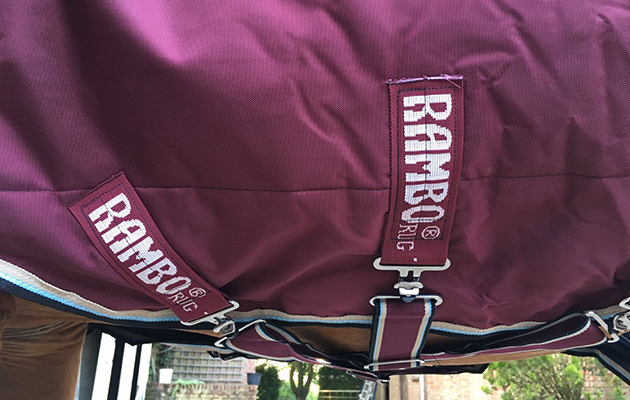 Horseware Rambo Duo Turnout Rug