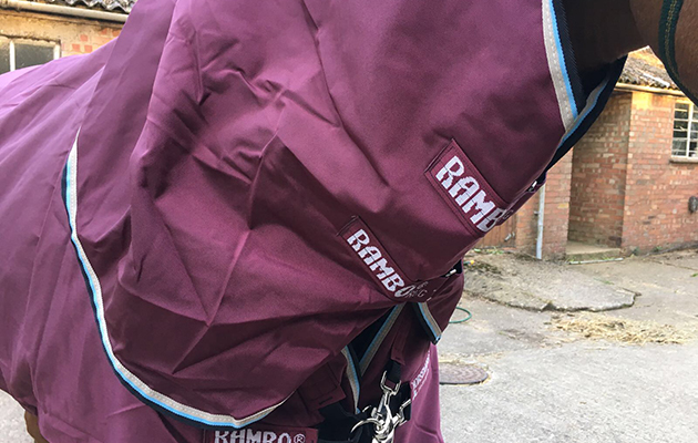 Horseware Rambo Duo Turnout Rug