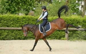 K8R4GR Young rider wearing a body protector on back of a bucking horse