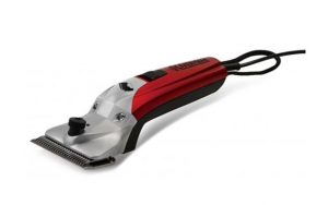 Liveryman Black Beauty clippers