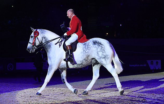 OUR CASHEL BLUE owned by  Caroline Tyrrell ridden or exhibited by Allister Hood in Cob of The Year Championship during the Horse of the Year Show at the NEC near Birmingham, UK between 4th - 8th October 2017