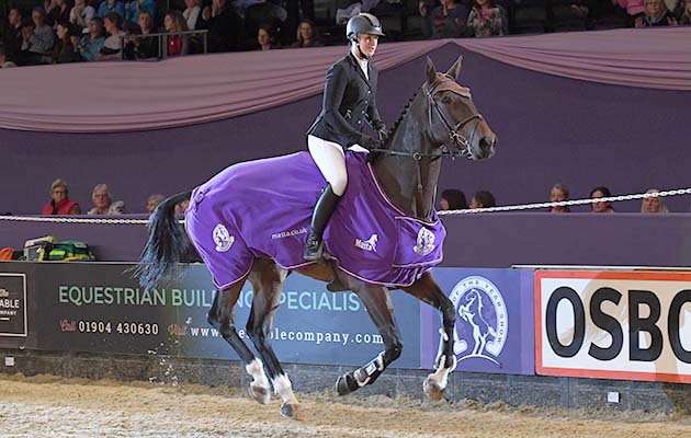 QUALITY OLD JOKER ridden by Holly Smith in the Speed Horse of the Year (Class 18) during The Horse of the Year Show at the NEC near Birmingham, UK between 4th - 8th October 2017