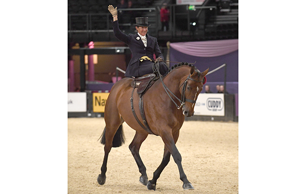 TIME 2 REFLECT owned by  Diane Stennett ridden or exhibited by Jayne Ross in the Ladies Side Saddle Horse of the Year Championship during the Horse of the Year Show at the NEC near Birmingham, UK between 4th - 8th October 2017