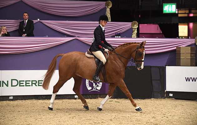 TINKAS FLASH owned by  Hannah Sloan ridden or exhibited by Hannah Sloan in INT Working Hunter Pony of the Year Championship during the Horse of the Year Show at the NEC near Birmingham, UK between 4th - 8th October 2017