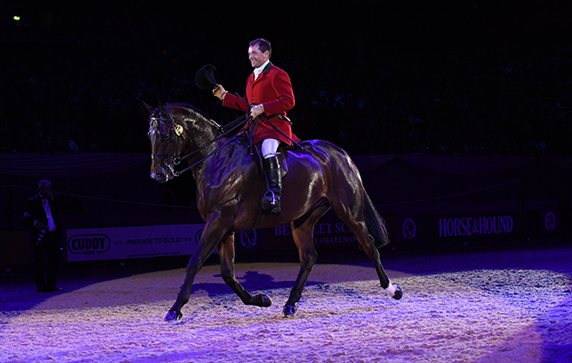 VIEW POINT owned by  Jill Day ridden or exhibited by Robert Walker in the Show Hunter Championship during the Horse of the Year Show at the NEC near Birmingham, UK between 4th - 8th October 2017