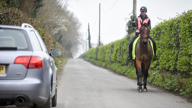 Do you need insurance to ride your horse on the road