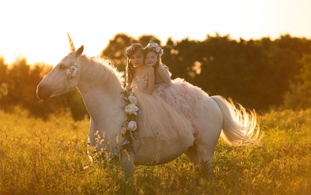 Unicorn-Corner-Image-2