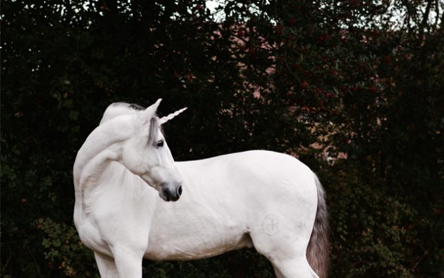 Unicorn-Corner-Image-4