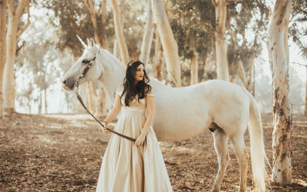 Unicorn-Corner-Image-6