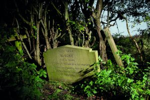 Blackie the war horse grave